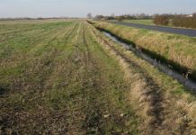 Gdzie warto inwestować w ziemię?