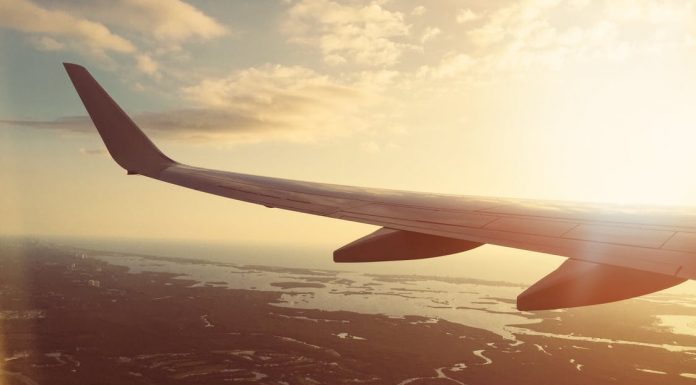 Na czym tak naprawdę polega praca stewardessy?