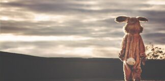 Jak napisać Indywidualny plan rozwoju?