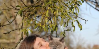 Co to są relacje interpersonalne?