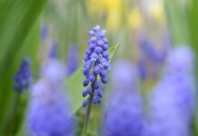 Co wyróżnia markę?