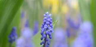 Co wyróżnia markę?