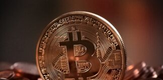 Na jakim portfelu można trzymać bitcoina?
