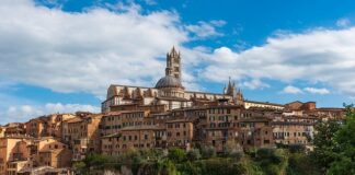 Co powinien zawierać plan rozwoju zawodowego?