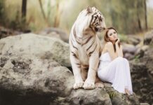 Jak znaleźć partnera biznesowego za granicą?