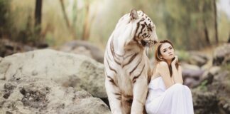 Jak znaleźć partnera biznesowego za granicą?