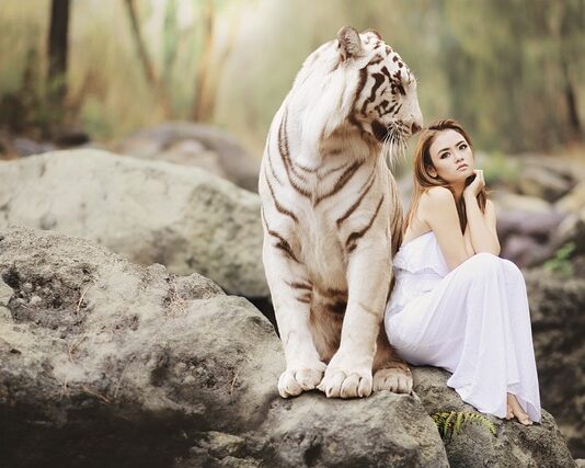 Jak znaleźć partnera biznesowego za granicą? Jak znaleźć partnera biznesowego za granicą?