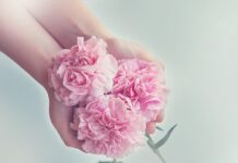 Jak funkcjonują gospodarstwa domowe budżet domowy?