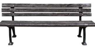 Ile lat ma się podstawy przedsiębiorczości?