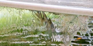 Ile jest funkcji rozwoju zawodowego? Ile jest funkcji rozwoju zawodowego?