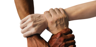 Jak zbudować społeczność w internecie?