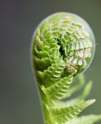 Jak rozwijać zawodnika w FIFA 23?