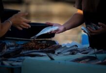 Co się opłaca szyć i sprzedawać? Co się opłaca szyć i sprzedawać?