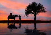 Gdzie zawierać nowe znajomości? Gdzie zawierać nowe znajomości?