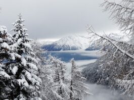 Jaka jest średnia IQ w Polsce? Jaka jest średnia IQ w Polsce?