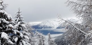 Jaka jest średnia IQ w Polsce?