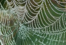 Jak budować sieć kontaktów? Jak budować sieć kontaktów?