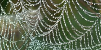 Jak budować sieć kontaktów?