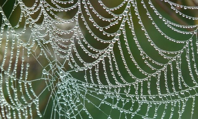 Jak budować sieć kontaktów?