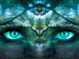 Jak podnieść swoją świadomość? Jak podnieść swoją świadomość?