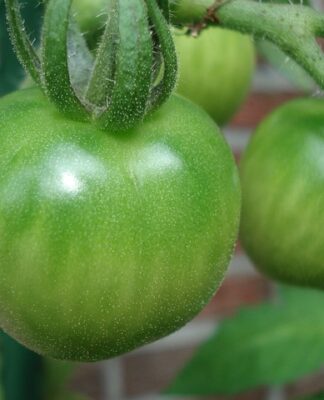 Jak leczyć niedojrzałość emocjonalna?