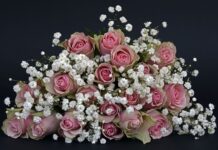 Co oznacza skrót ci?