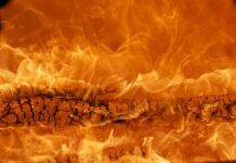 Jak budować markę w social mediach? Jak budować markę w social mediach?