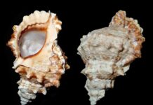 Jak stać się systematycznym?