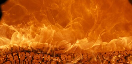 Czy marka i firma to to samo? Czy marka i firma to to samo?