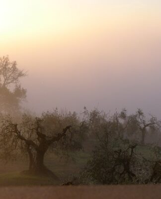 Do jakiego kraju najlepiej wyjechać na stałe 2023?