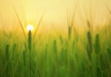 Jak zbudować swój charakter?