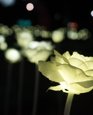 Co jest dla mnie ważne w kontaktach z rówieśnikami?