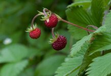 Jak się przywitać z klientem? Jak się przywitać z klientem?