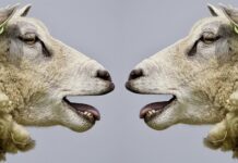 Co ułatwia komunikację między ludźmi? Co ułatwia komunikację między ludźmi?