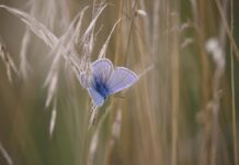 Co to znaczy B to C? Co to znaczy B to C?