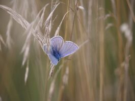 Co to znaczy B to C? Co to znaczy B to C?