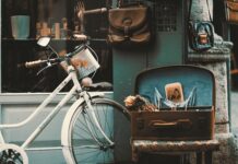 Jaki sklep opłaca się otworzyć? Jaki sklep opłaca się otworzyć?