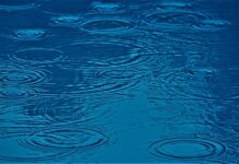 Jaki wpływ na człowieka może mieć grupa społeczna?