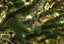 Jak poznać potrzeby klienta?