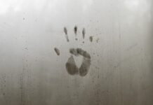 Co oznacza termin identyfikacja? Co oznacza termin identyfikacja?