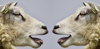 Co pomaga w skutecznej komunikacji? Co pomaga w skutecznej komunikacji?