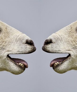 Co pomaga w skutecznej komunikacji?