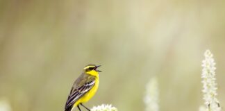 Jak poznać prawdziwego siebie?