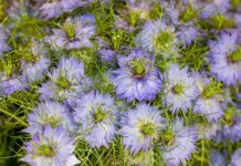 Kto kogo zaprasza na LinkedIn? Kto kogo zaprasza na LinkedIn?