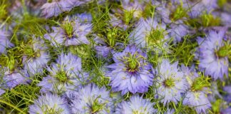 Kto kogo zaprasza na LinkedIn? Kto kogo zaprasza na LinkedIn?