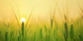 Jaki jest charakter pracy? Jaki jest charakter pracy?