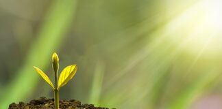 Co wpływa na rozwój pracownika? Co wpływa na rozwój pracownika?