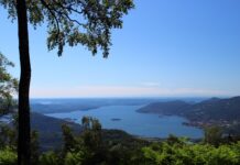 Co mój przełożony powinien zacząć robić?