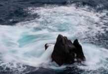 Jak rozmawiać z klientem o cenie? Jak rozmawiać z klientem o cenie?