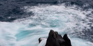 Jak rozmawiać z klientem o cenie? Jak rozmawiać z klientem o cenie?